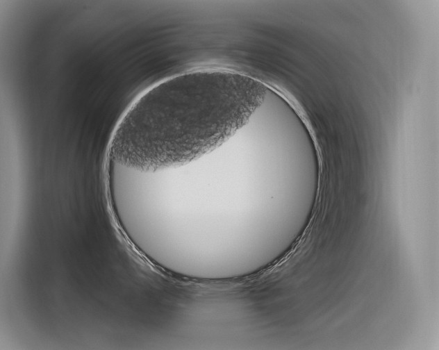 X0000116391008200912021002