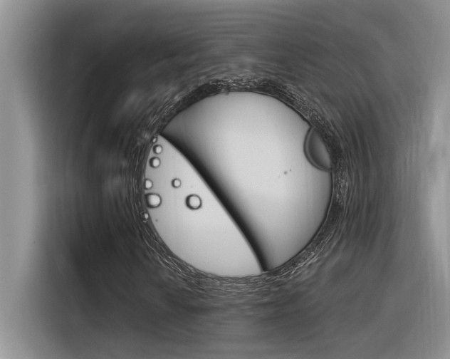 X0000116391010200912021001