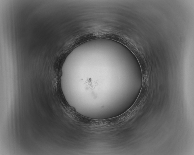 X0000116391012200912021001
