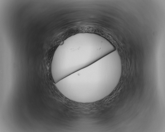 X0000116391013200912021001