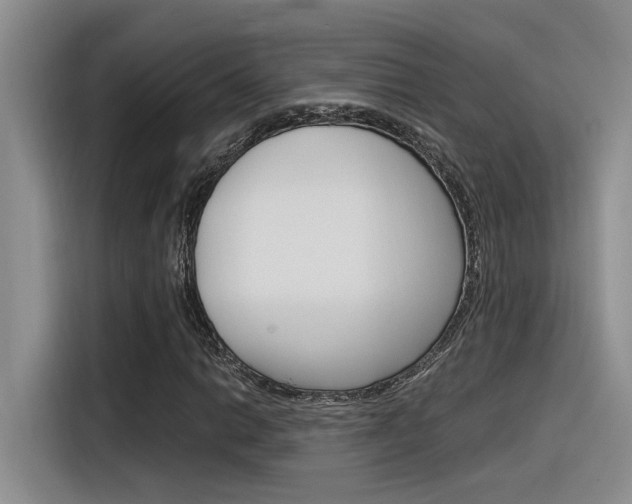 X0000116391014200912021001