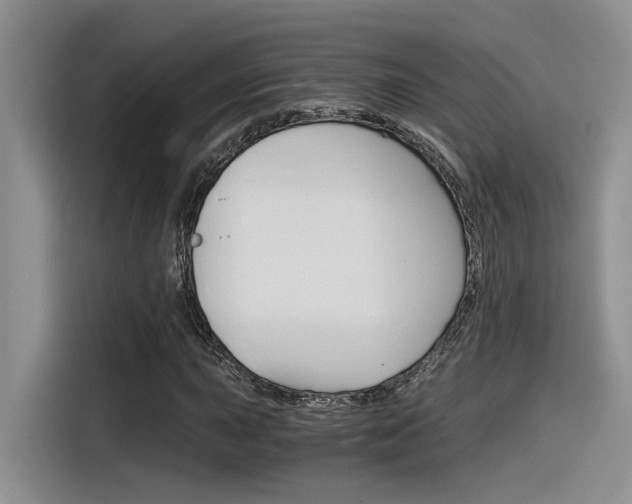 X0000116391015200912021001