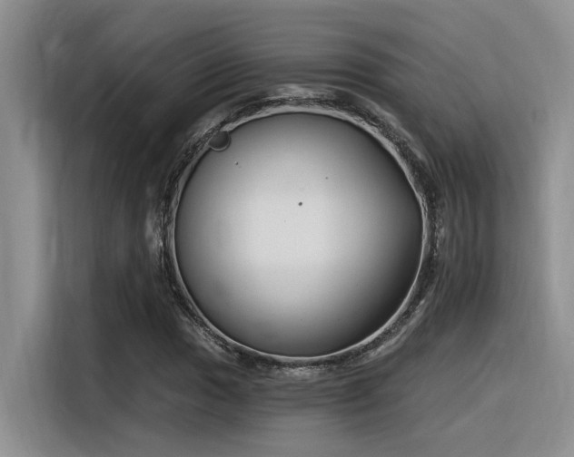 X0000116391017200912021002