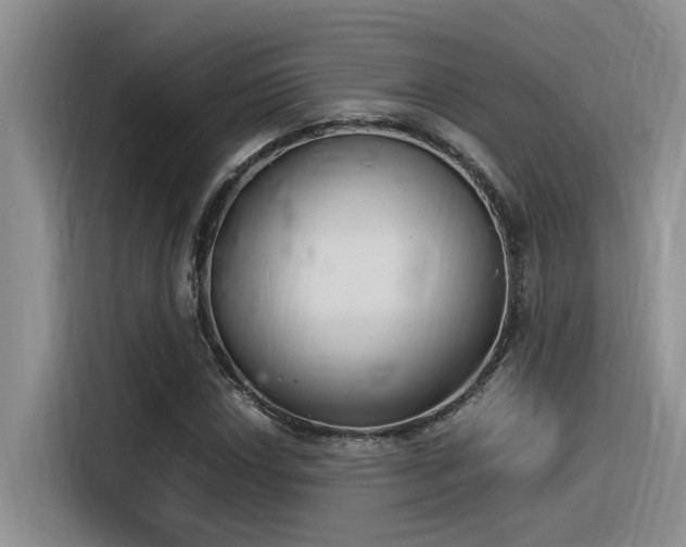 X0000116391018200912021002