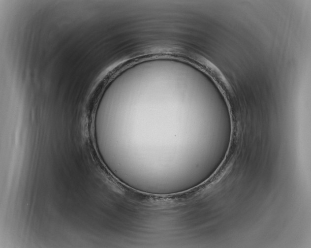 X0000116391019200912021002