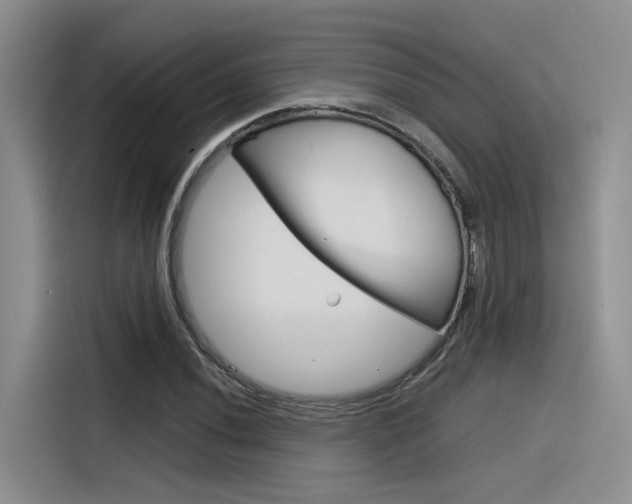 X0000116391020200912021002