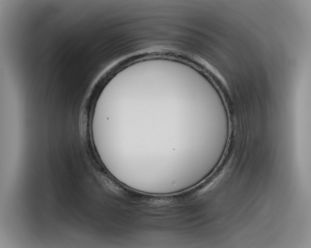 X0000116391021200912021002