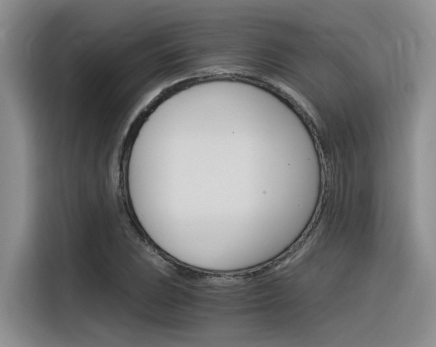 X0000116391023200912021002