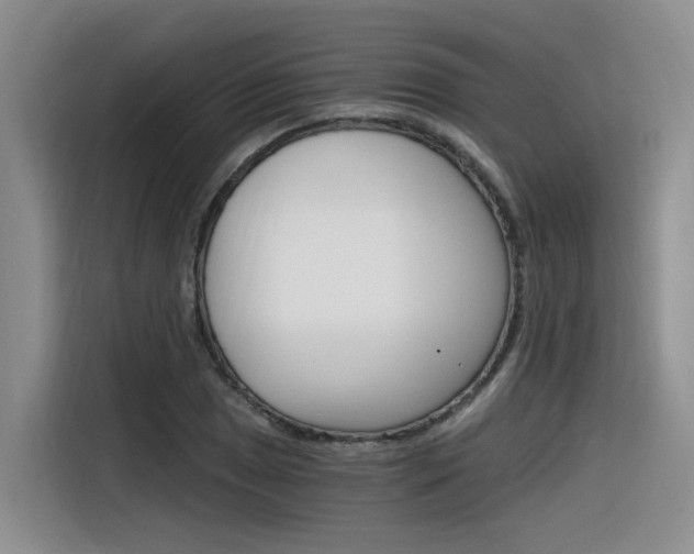 X0000116391025200912021002