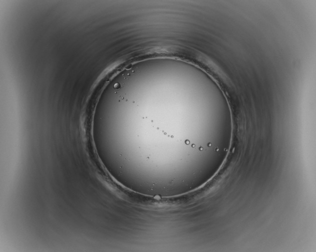 X0000116391026200912021002