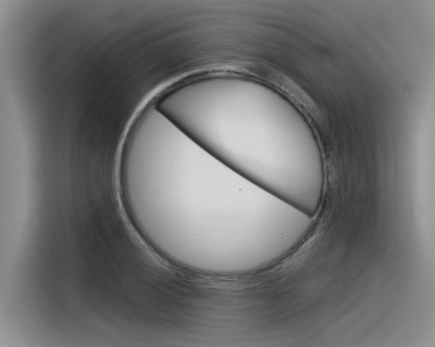 X0000116391028200912021002