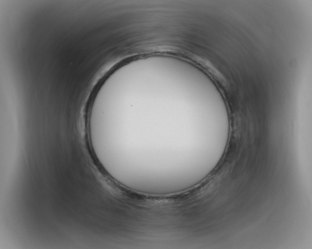 X0000116391031200912021002