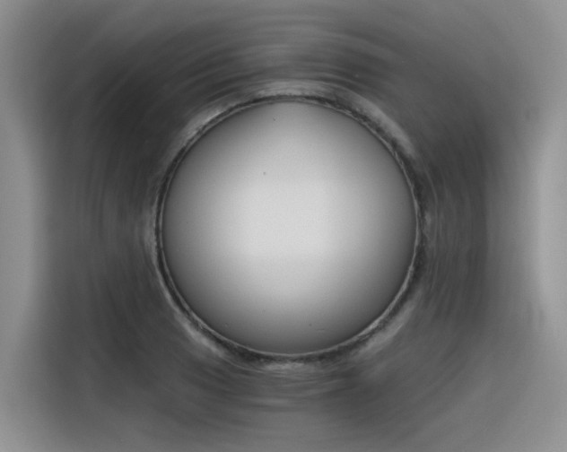 X0000116391033200912021002