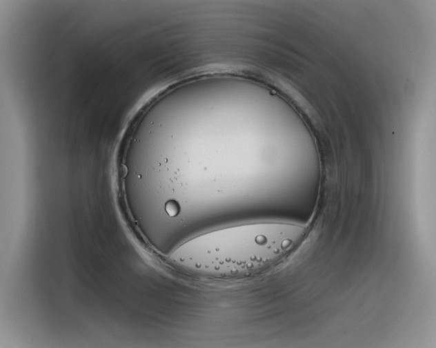 X0000116391034200912021002