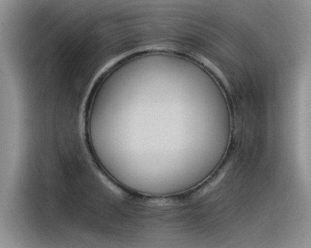 X0000116391037200912021002