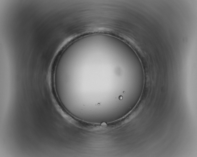 X0000116391038200912021002