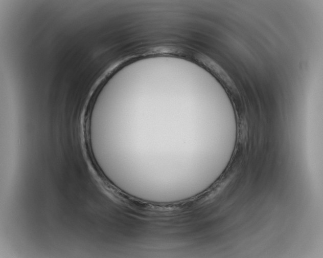 X0000116391039200912021002