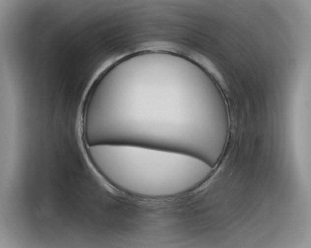 X0000116391040200912021002