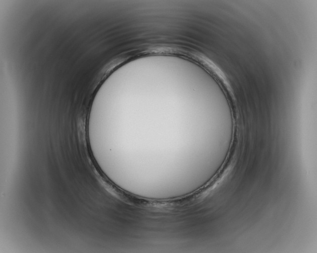X0000116391041200912021002