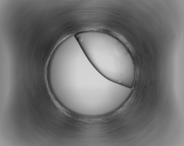 X0000116391042200912021002