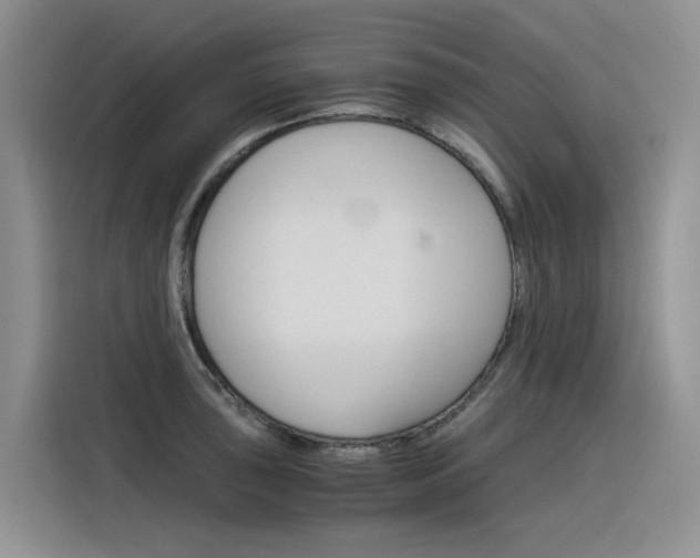 X0000116391043200912021002