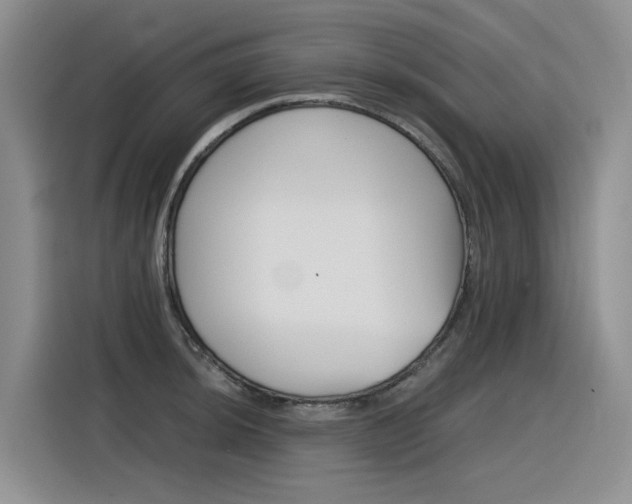 X0000116391044200912021002