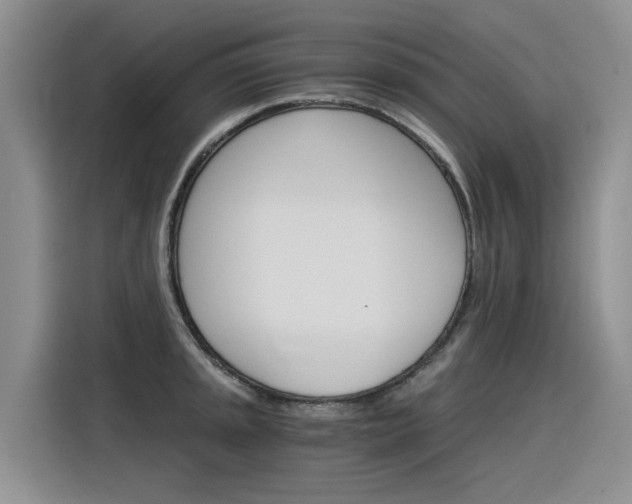 X0000116391045200912021002