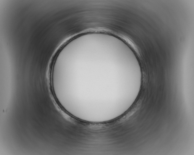 X0000116391046200912021002