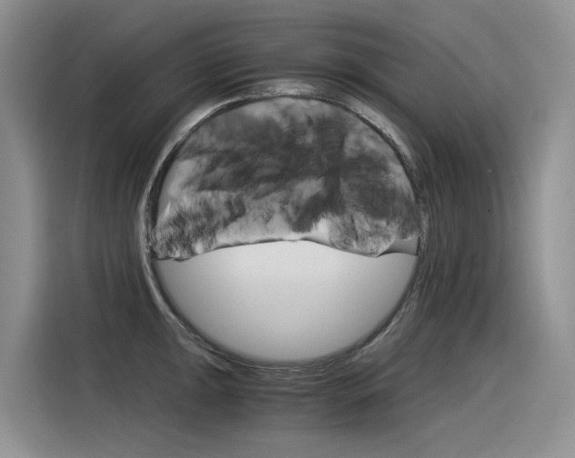 X0000116391047200912021002