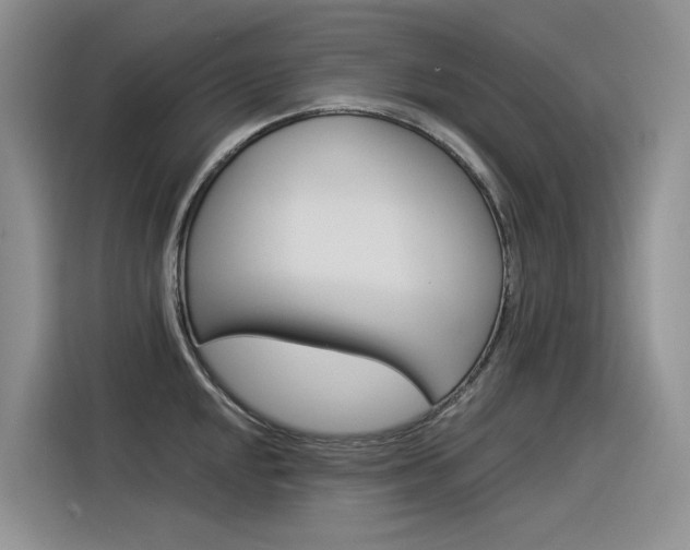 X0000116391048200912021002