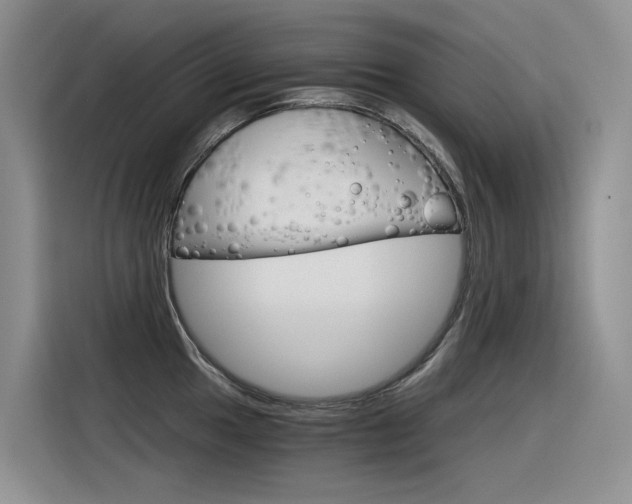 X0000116391049200912021002