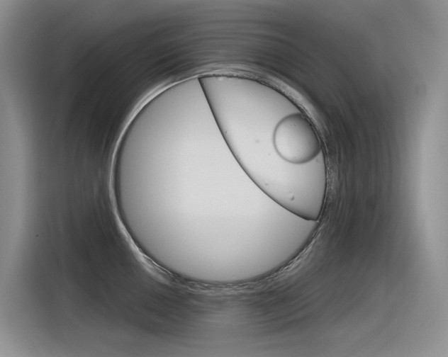 X0000116391050200912021002
