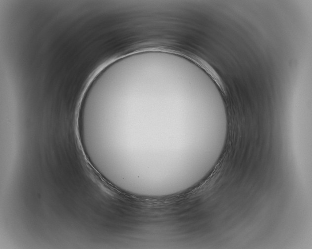 X0000116391051200912021002