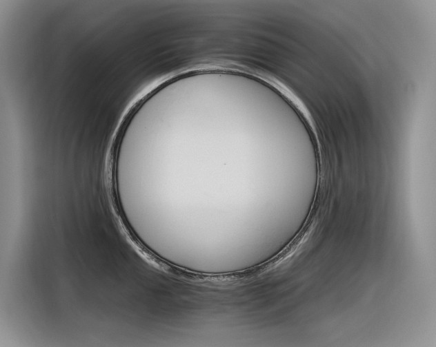 X0000116391053200912021002
