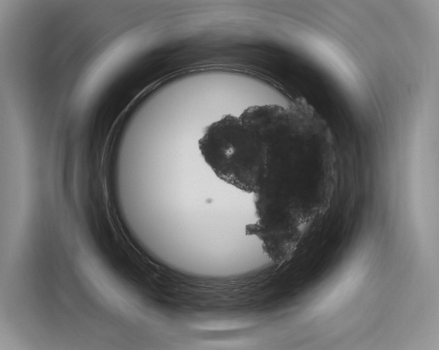 X0000116391054200912021002