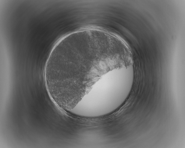 X0000116391055200912021002