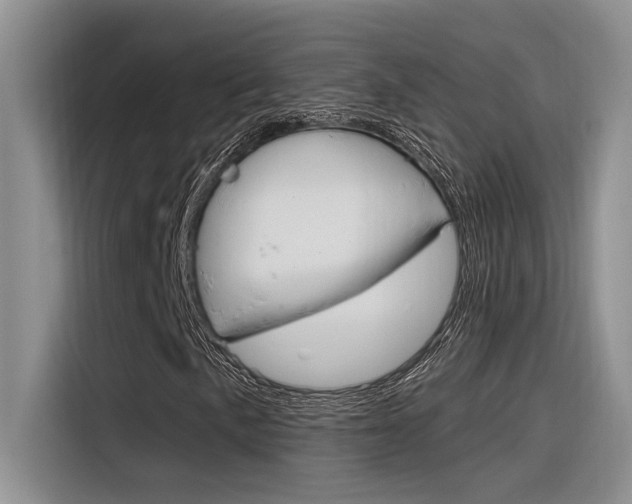 X0000116391057200912021001