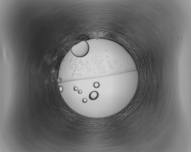 X0000116391058200912021001