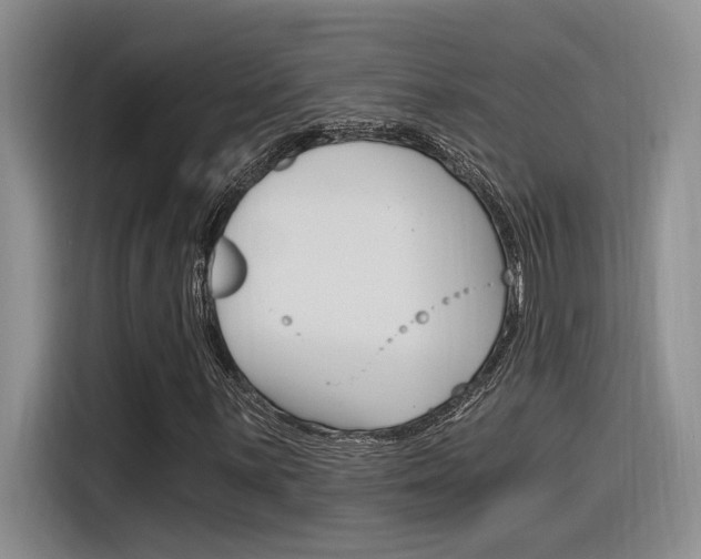 X0000116391059200912021001
