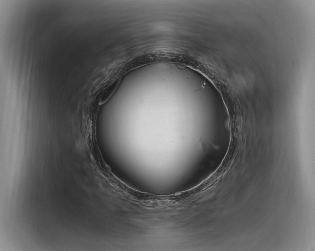 X0000116391061200912021001