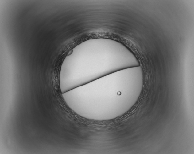 X0000116391062200912021001