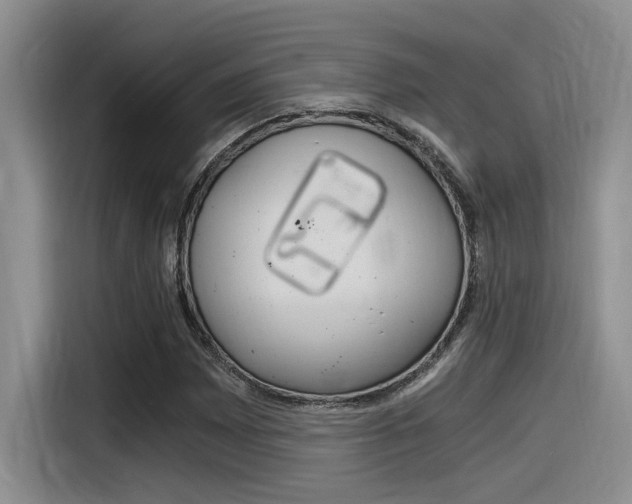X0000116391065200912021001
