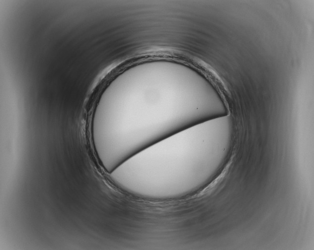 X0000116391066200912021001