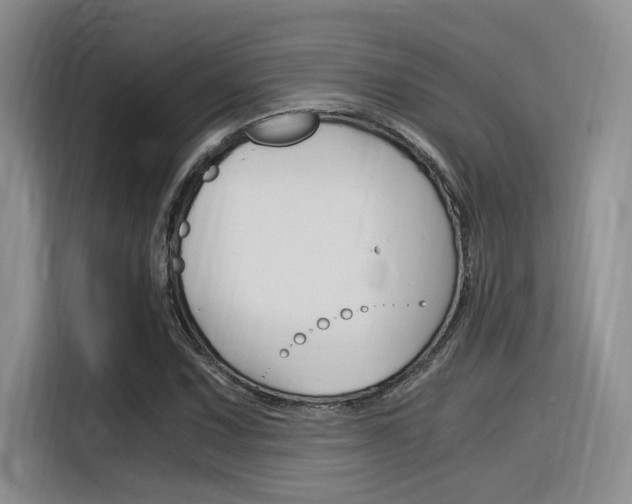 X0000116391067200912021001