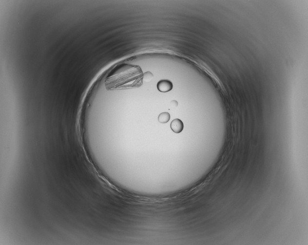 X0000116391068200912021001