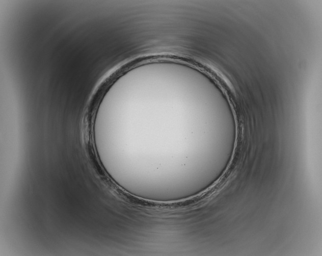 X0000116391069200912021001