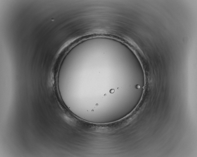 X0000116391070200912021001