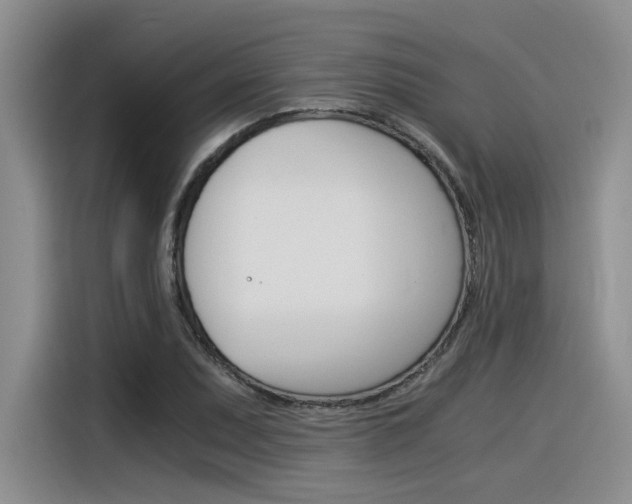 X0000116391071200912021001