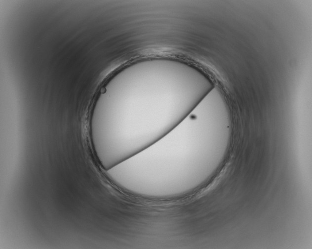 X0000116391073200912021001