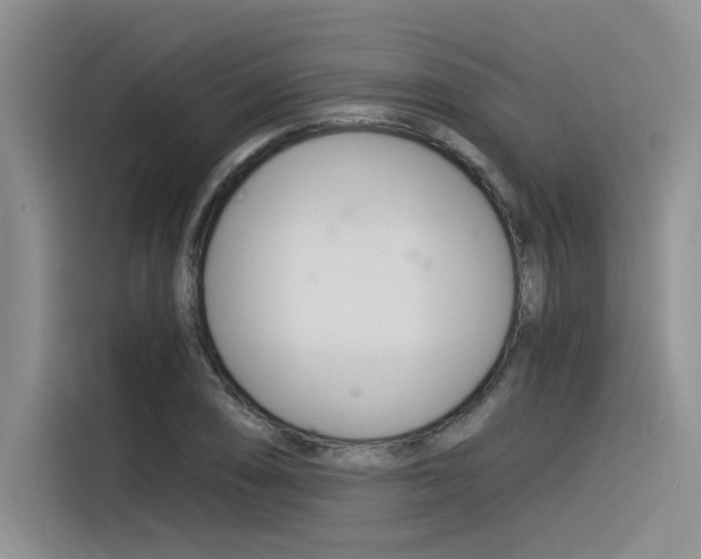 X0000116391074200912021001